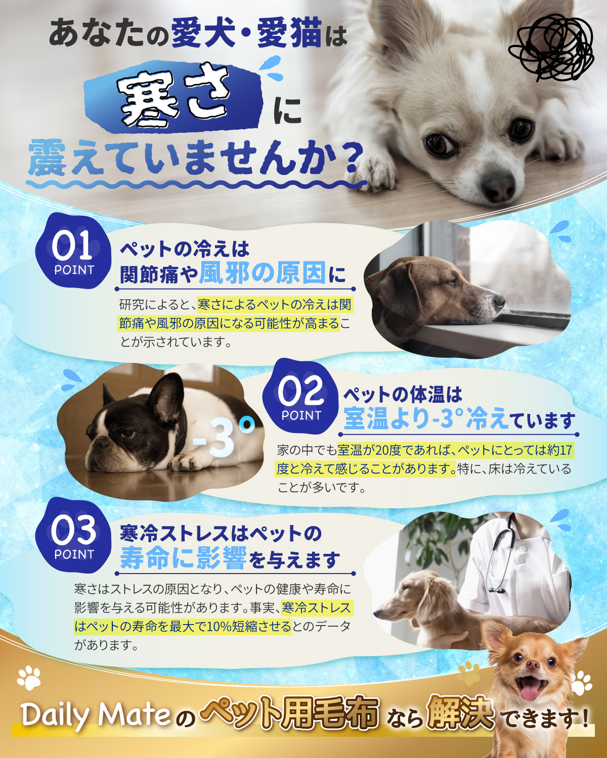 【予約販売】ペット用毛布ブランケット 4枚セット | 犬猫用 マイクロファイバー